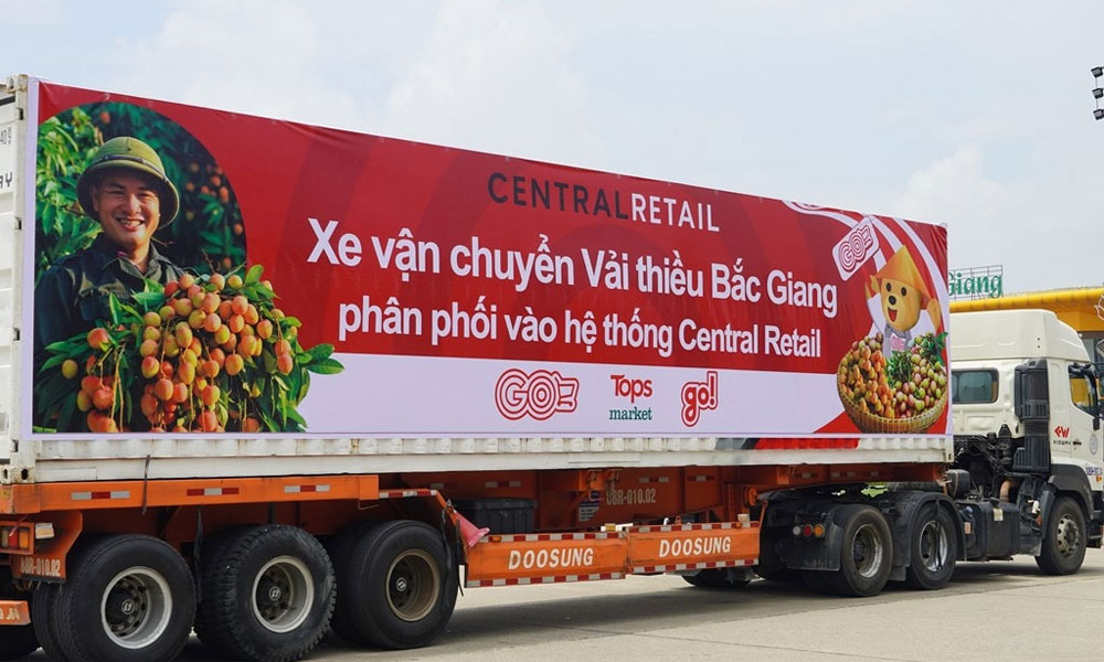 Tập đoàn Central Retail Việt Nam đã xuất hành các chuyến xe container vận chuyển vải thiều Lục Ngạn - Bắc Giang.